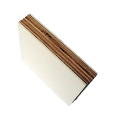 Plywood Sandwich Panel